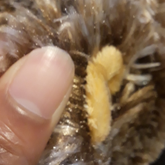 ✓Trudi fluffy and Cuddly Tear Bear Plush - Picture 16 of 16